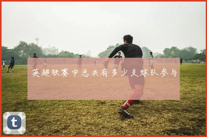 英超联赛中总共有多少支球队参与