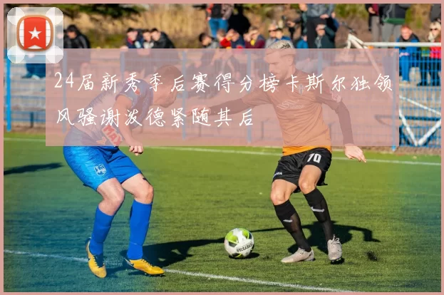 24届新秀季后赛得分榜卡斯尔独领风骚谢泼德紧随其后