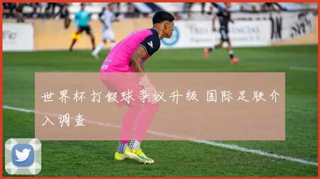世界杯打假球争议升级 国际足联介入调查