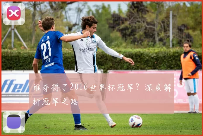 谁夺得了2016世界杯冠军？深度解析冠军之路