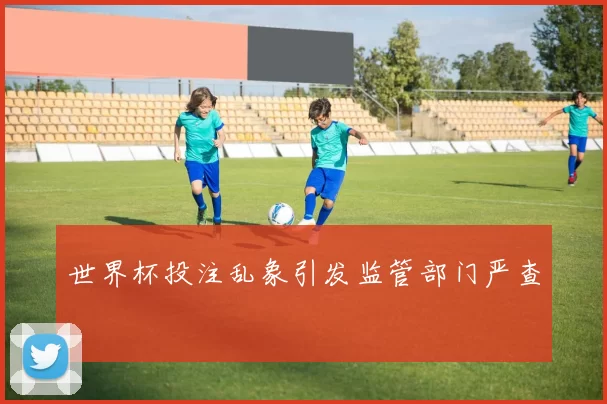 世界杯投注乱象引发监管部门严查