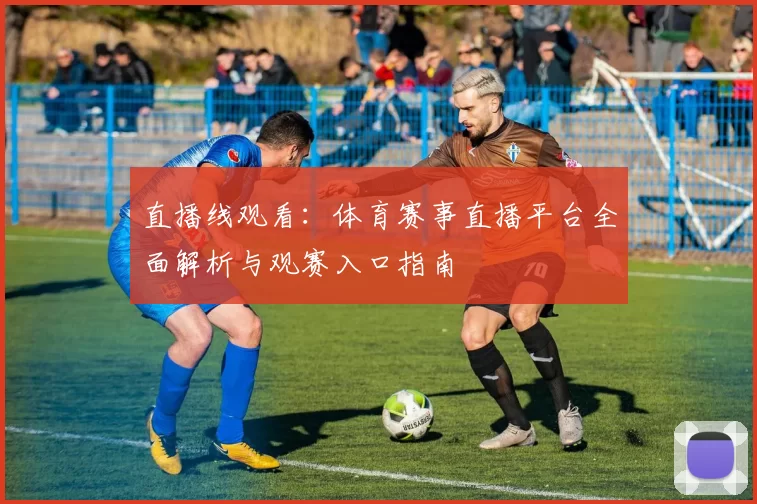 直播线观看：体育赛事直播平台全面解析与观赛入口指南