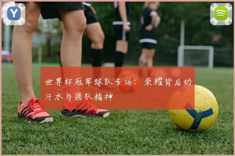 世界杯冠军球队专访：荣耀背后的汗水与团队精神