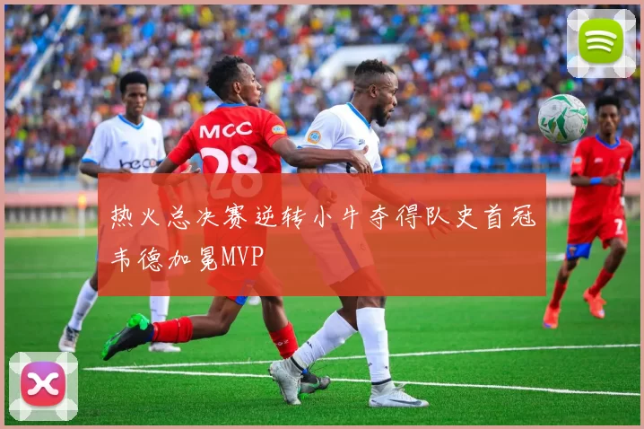 热火总决赛逆转小牛夺得队史首冠韦德加冕MVP