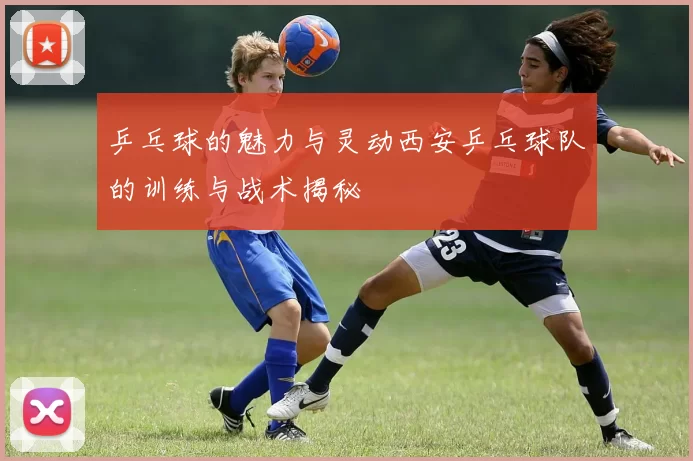 乒乓球的魅力与灵动西安乒乓球队的训练与战术揭秘