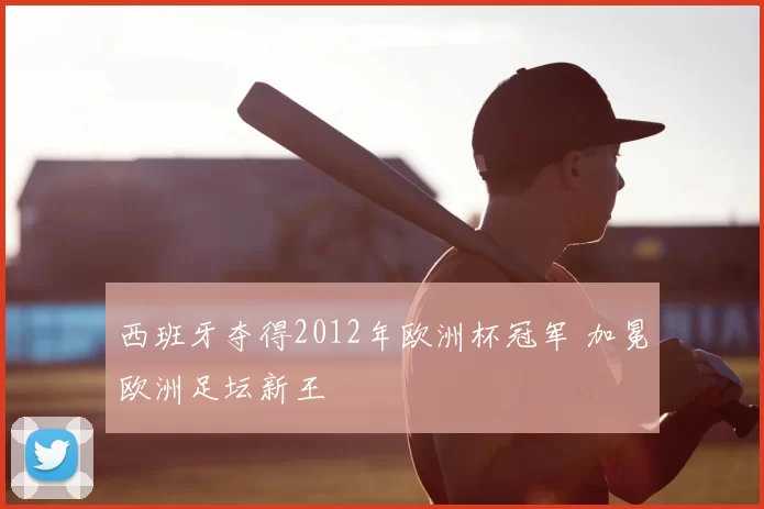 西班牙夺得2012年欧洲杯冠军 加冕欧洲足坛新王