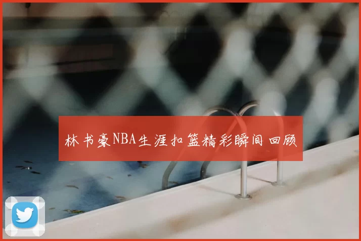 林书豪NBA生涯扣篮精彩瞬间回顾