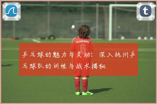 乒乓球的魅力与灵动：深入杭州乒乓球队的训练与战术揭秘