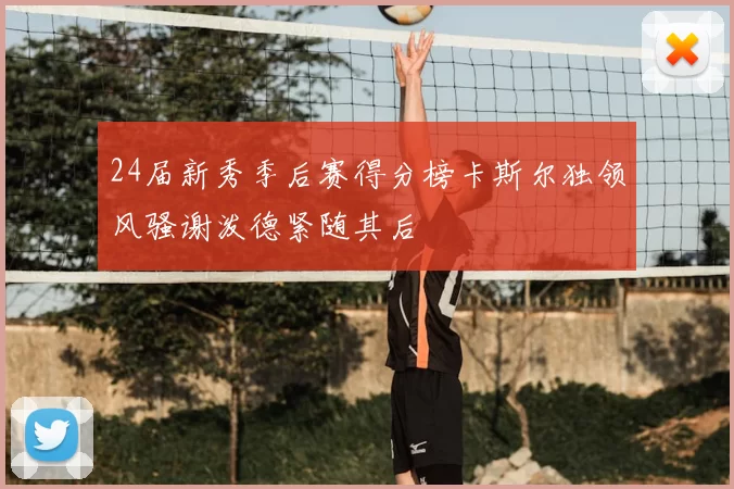 24届新秀季后赛得分榜卡斯尔独领风骚谢泼德紧随其后
