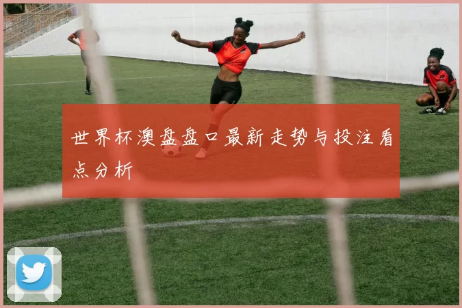 世界杯澳盘盘口最新走势与投注看点分析