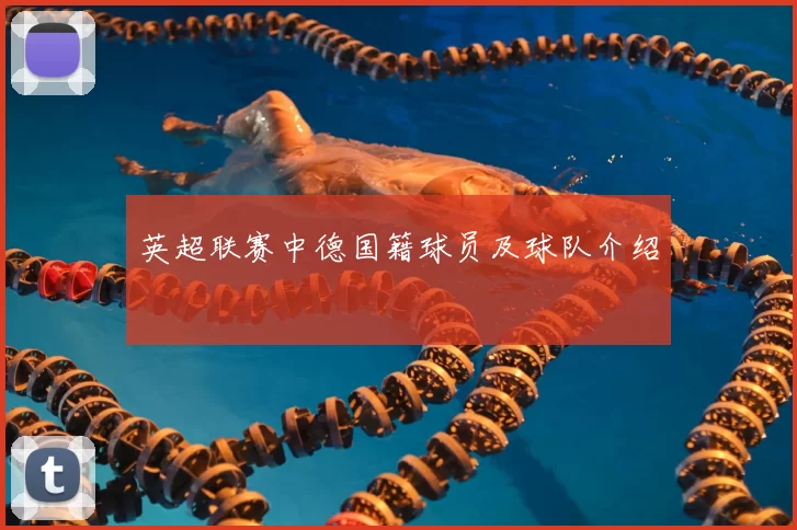 英超联赛中德国籍球员及球队介绍