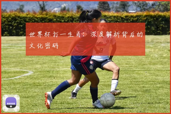 世界杯打一生肖：深度解析背后的文化密码