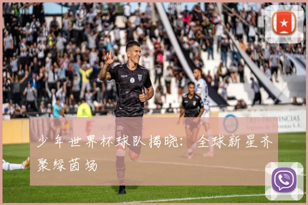 少年世界杯球队揭晓:全球新星齐聚绿茵场