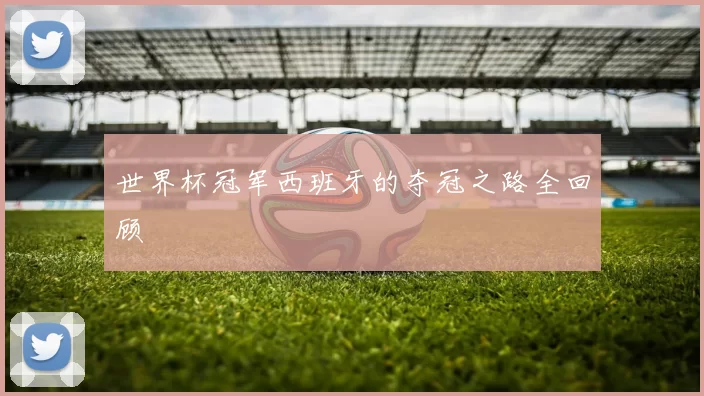 世界杯冠军西班牙的夺冠之路全回顾