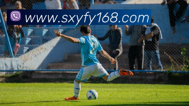 线上买球服务体系